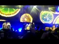 The Stone Roses - Bye Bye Badman Live 1st July ...
