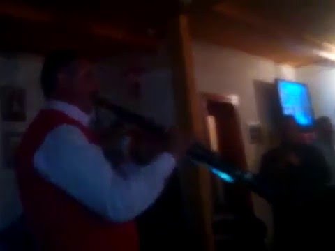 Revelion 2016,pensiunea scarisoara,Garda-Alba