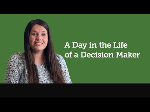 A Day in the Life of a Decision Maker