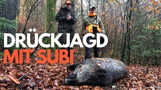 Drückjagd mit Hirsch, Fuchs, Reh und Subiperformance