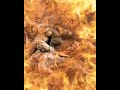 Narsimha 4k Video Narasimha WhatsApp Status ️ NarsimhaSwamy Shorts