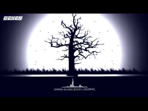DJ ALA BALI BOOTLEG [DXCKY X FEXDRMX]