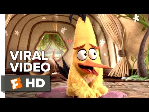 The Angry Birds Movie VIRAL VIDEO - International Day of Happiness PSA (2016) - Movie HD