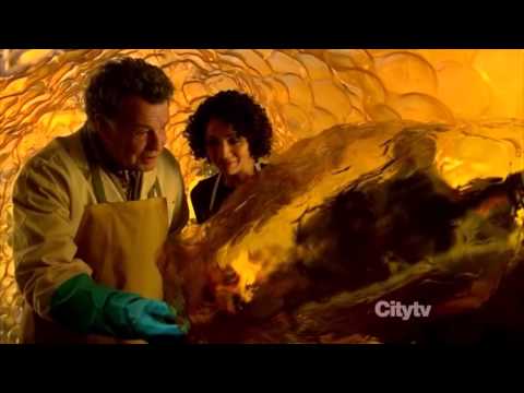 Fringe Episode 5.13 Scene - That's A Beautiful Name