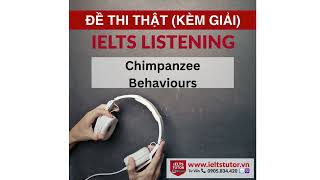 Chimpanzee Behaviours Đề thi IELTS LISTENING actual test (thi ngày 3/1/2023)