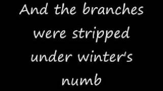 Anatomy of a Ghost - Beauty Is In It's Embrace (With lyrics)