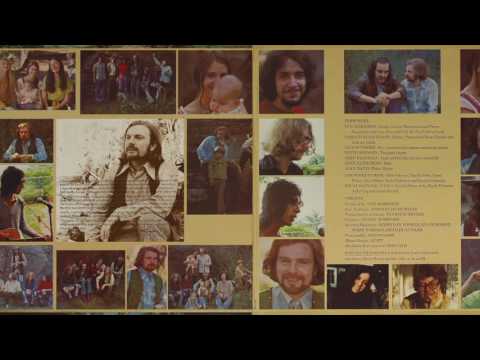 VAN MORRISON - Domino - 1970 Vinyl LP