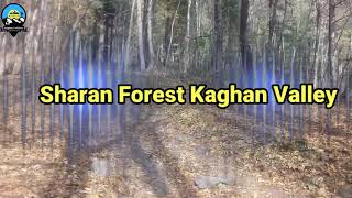 preview picture of video 'Sharan Forest Kaghan Valley in Autumn season 2018'