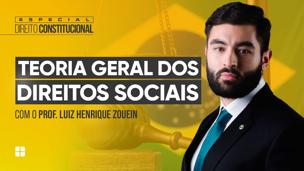 Teoria Geral dos Direitos Sociais | Prof. Luis Henrique Zouein