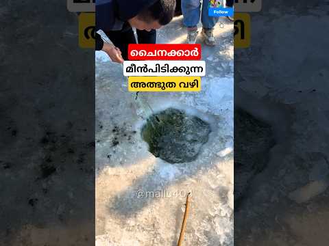 ചൈനക്കാർ മീൻപിടിക്കുന്ന അത്ഭുത വഴി😱 #facts #factshorts
