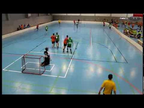 IFC Dresden 2013 : SK Kerio Plzen  - USV Saalebiber Halle