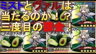 【ゆるドラシルガチャ】三度目の正直！新ヴァルの内誰が当たった！？