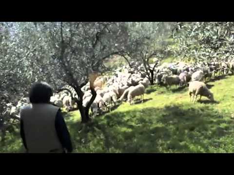 ONDA TG 29.08.2014 - LA VALLE DEL SAGITTARIO ESEMPIO DI ECCELLENZA PER UNIVERSITA'  USA E INGLESI