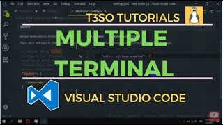 How to add multiple terminal in Visual Studio Code
