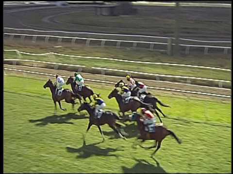 Galoppo 05/01/2017 - 3ª corsa