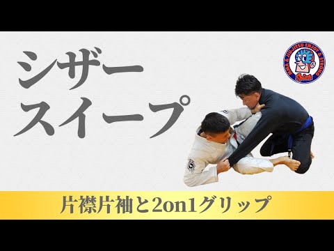 シザースイープ　片襟片袖と2on1