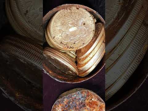 FOUND $10 Million Dollars in Buried GOLD Coins!