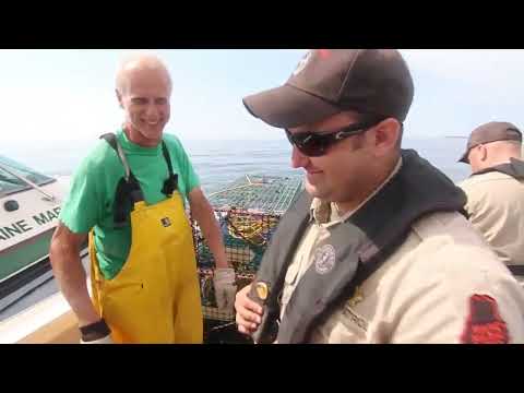 Maine Department of Marine Patrol Spotlight
