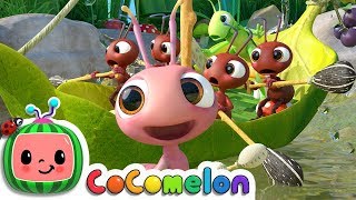 Row, Row, Row Your Boat (Ant Version) | CoComelon Nursery Rhymes &amp; Kids Songs