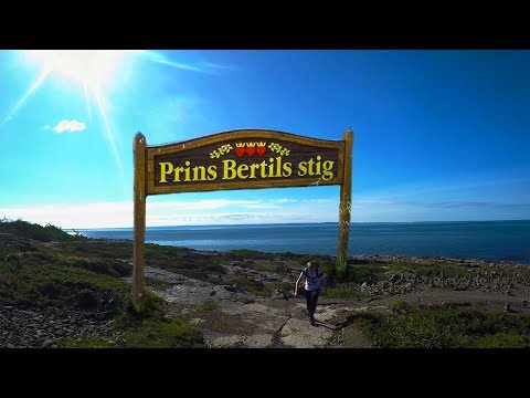 Walk, Walk, Walk, that'S what we do Each and Every year at our school 🏃