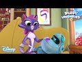 Puppy Vriendjes | ARF-CHOO | Disney Channel NL
