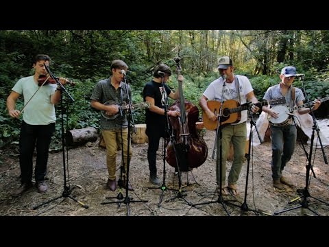 Town Mountain - Coming Back to You - Old Growth @Pickathon 2016 S01E07