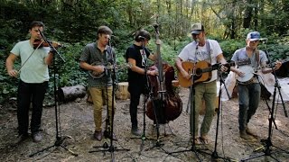 Town Mountain - Coming Back to You - Old Growth @Pickathon 2016 S01E07