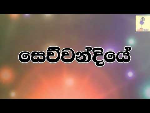 Sewwandiye - Shihan Mihiranga Karoke Without Voice