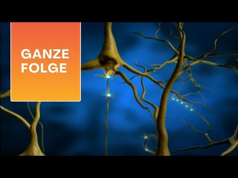 Twitching, fidgeting, swearing – living with Tourette's