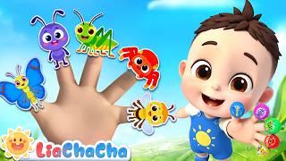 Download lagu Finger Family Song (Bugs Version) | EP286 | Learn Insects | Toddler Songs | LiaChaCha mp3 Download lagu Finger Family Song (Bugs Version) | EP286 | Learn Insects | Toddler Songs | LiaChaCha mp3
