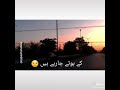 Wo Kisi Gair Kisi Gair K Hoty Ja Rahy Hain