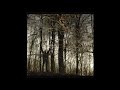Apoptose – Bannwald - 01 - Die Drei Schwestern