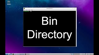 What is the bin directory?