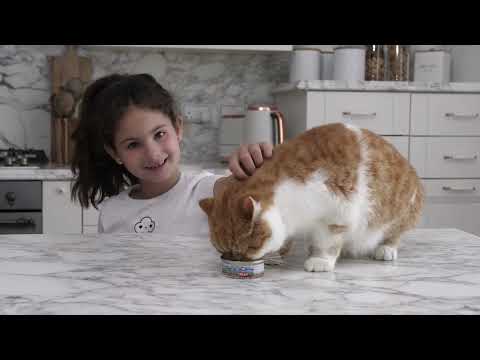 𝐑𝐚𝐢𝐬𝐚 & 𝐭𝐡𝐞 𝐓𝐫𝐢𝐨