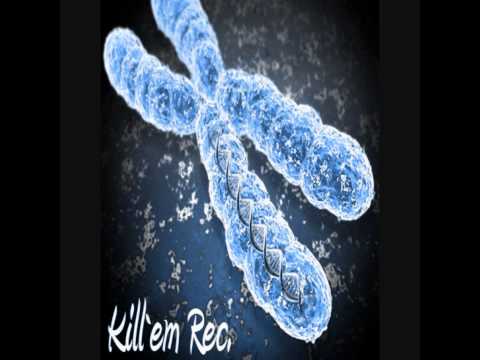 ZIMAR Z Chromosom 2010