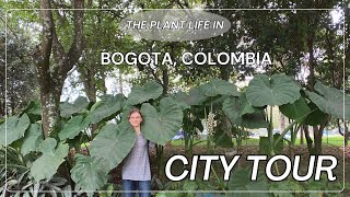 Bogotá, Colombia Plant Tour in the City - Visiting Abuela's Garden - Colombian Lifestyle