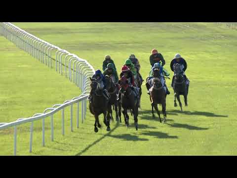 2022.07.24. 09. futam - GÖDI HENDIKEP (IV.o.) II. rész