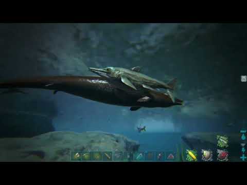 Ark Fjordur how to tame a Basilosaurus