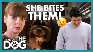 This Dog Bites Owner’s Boyfriends😨 | It’s Me or The Dog