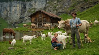 How do people live in the remote Swiss Alpine villages?The Little Shepherdess film