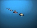 Molinet TV3 Fórmula 1 2008