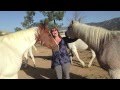 Thank You From Rocky Ridge Rescue 2014