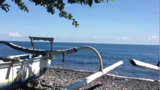 preview picture of video 'バリ島 トランベン コーラルガーデンでダイビング'