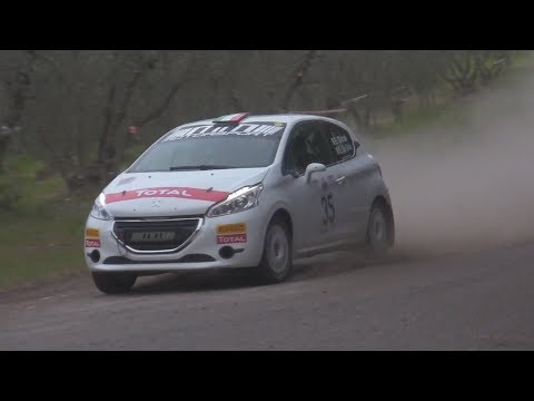 RALLY LIBURNA TERRA 2019 OLDRATI-DE GUIO PEUGEOT 208