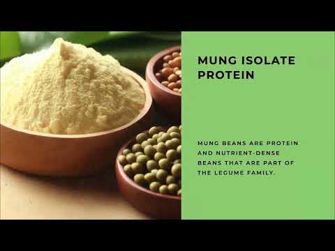 Lentil protein powder