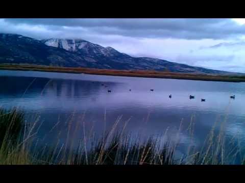 Nevada Duck Hunting Washoe Valley