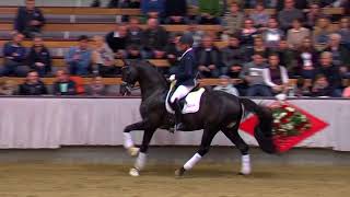 Video von Bernay
