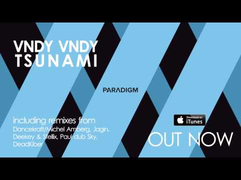 Vndy Vndy - Tsunami (Original Mix) [Future House, House]