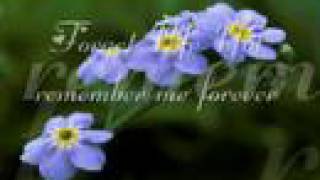 Remembering Grandma