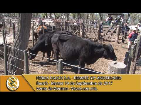 19-09-17 Venta de Vientres - Ferias Rauch S.A. - Remate 32º Aniversario - Rauch.